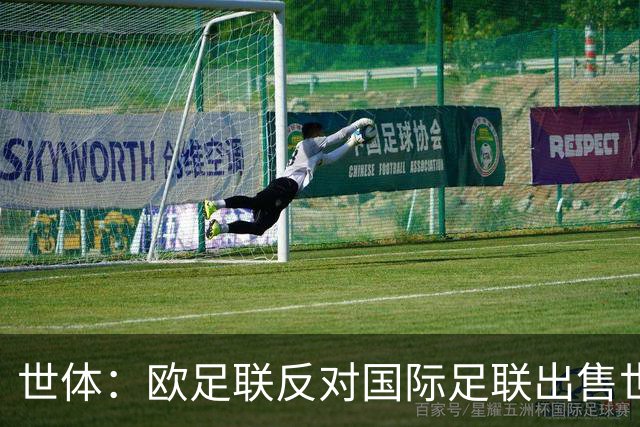世体：欧足联反对国际足联出售世界杯股份，2030决赛地生变
