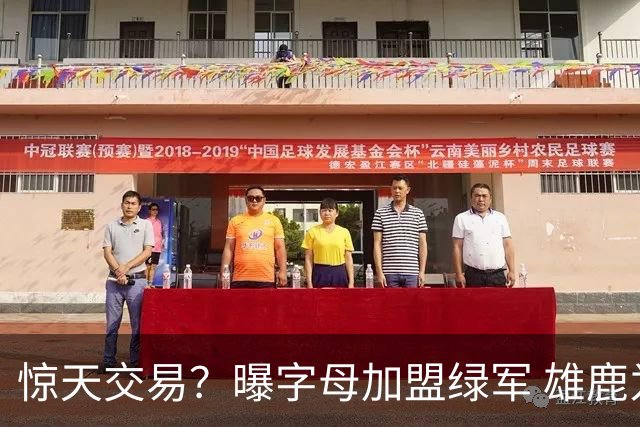惊天交易？曝字母加盟绿军 雄鹿为布朗寻找第三方