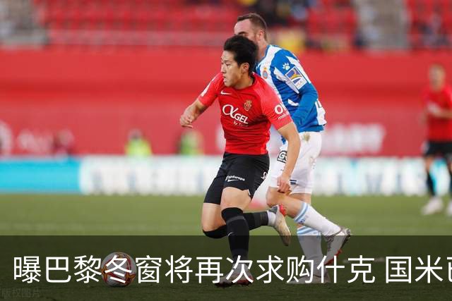 曝巴黎冬窗将再次求购什克 国米已在寻找替代者