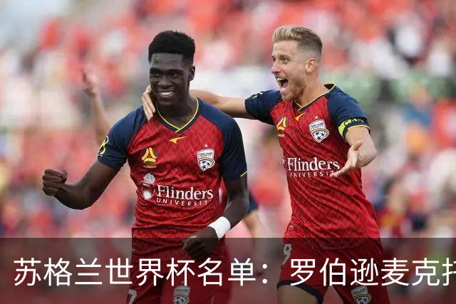 苏格兰世界杯名单：罗伯逊麦克托米奈领衔 麦金在列