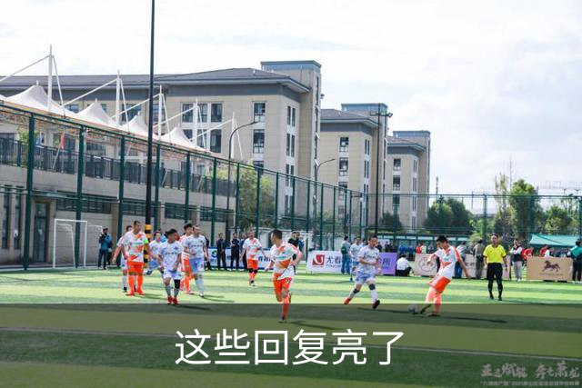这些回复亮了